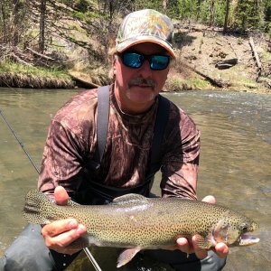 Trout Fishing Black Hills South Dakota