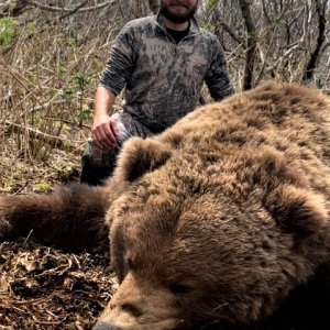 Bear Hunting