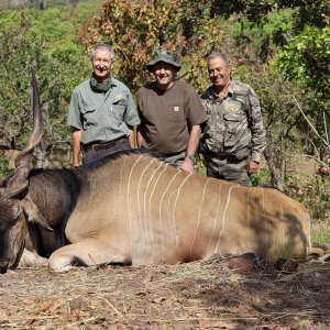 Lord Derby Eland Hunting Cameroon