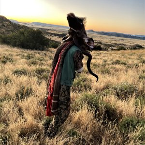 Kudu Hunt Northern Cape South Africa