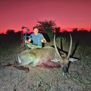 Waterbuck Bow Hunting Namibia