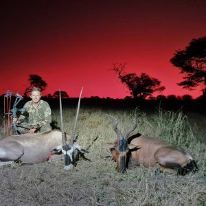 Red Hartebeest & Gemsbok Bow Hunting Namibia