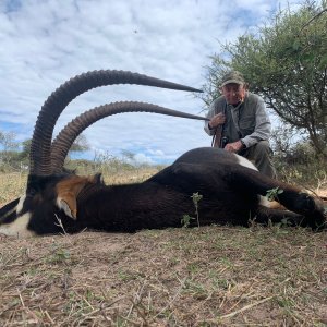 Sable Hunting South Africa