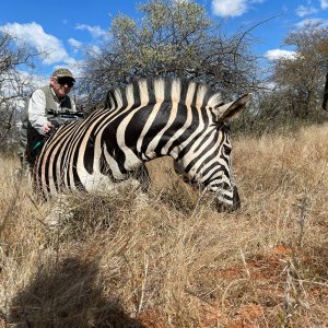 Zebra Hunting South Africa