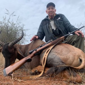 Tsessebe Hunting South Africa