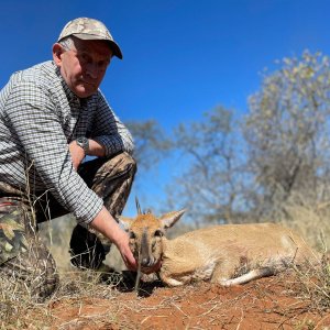 Duiker Hunting Limpopo South Africa