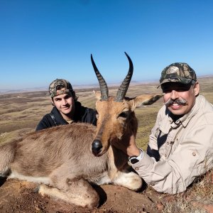 Reedbuck Hunting Eastern Cape South Africa