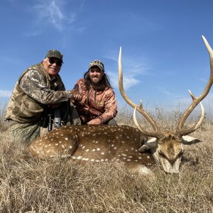 Axis Deer Hunt Argentina