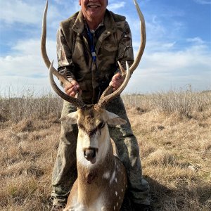 Axis Deer Hunt Argentina