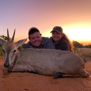 Duiker Hunt Limpopo South Africa