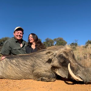 Warthog Hunt Limpopo South Africa