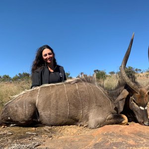 Nyala Hunt Limpopo South Africa