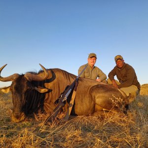 Blue Wildebeest Hunting Namibia