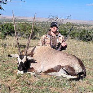 Gemsbok Hunt South Africa