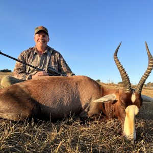 Blesbok Hunting Mpumalanga South Africa