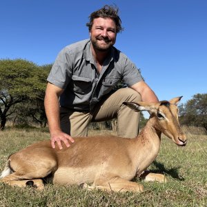 Female Impala Hunting Limpopo South Africa