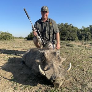 Warthog Hunting South Africa