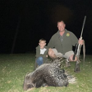 Porcupine Hunting South Africa