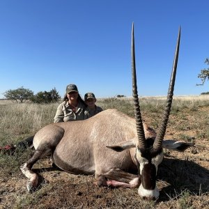 Gemsbok Hunting South Africa