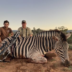 Zebra Crossbow Hunting South Africa