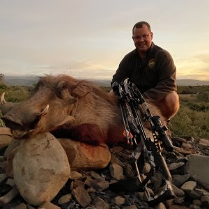 Warthog Crossbow Hunting South Africa