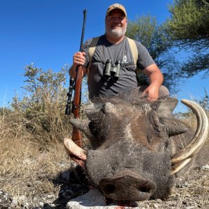 Warthog Hunting Botswana