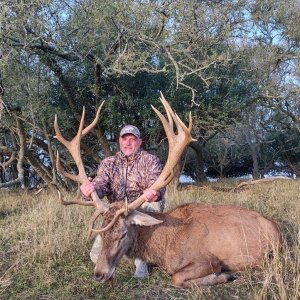 Red Stag Hunting Argentina