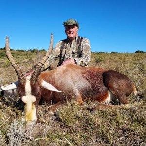 Blesbok Hunting South Africa