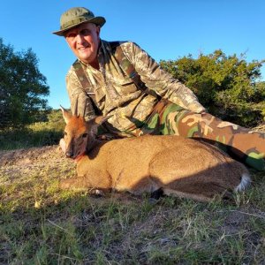 Duiker Hunting South Africa