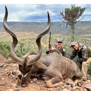 Kudu Hunt Karoo Region South Africa