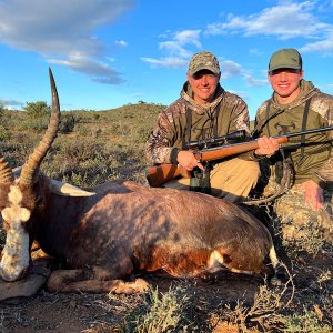Blesbok Hunt Karoo Region South Africa