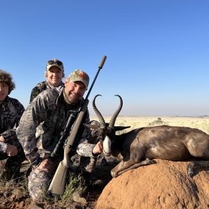 Black Springbok Hunting Eastern Cape South Africa
