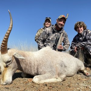 White Blesbok Hunting Eastern Cape South Africa