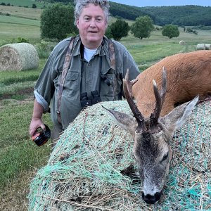 Roe Deer Hunting Romania