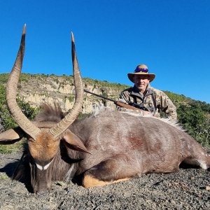 Nyala Hunting South Africa