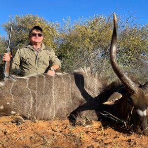 Nyala Hunt South Africa