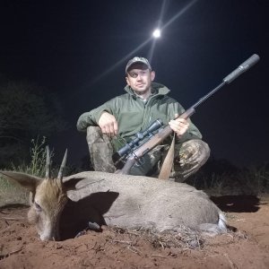 Duiker Hunt South Africa