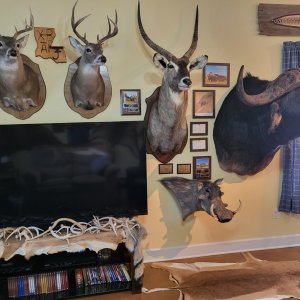 Trophy Room