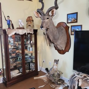 Trophy Room