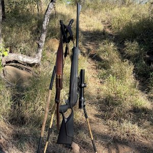 Blaser Rifle & Shooting Sticks