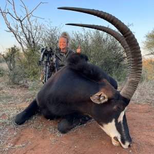 Sable Crossbow Hunt South Africa