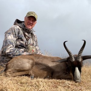 Dark Springbok Hunt South Africa