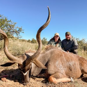 Kudu Hunt South Africa