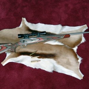 Remington 700 .375 RUM Rifle