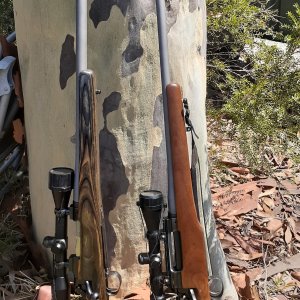 Walnut & Laminated Stocks Hunting Rifles
