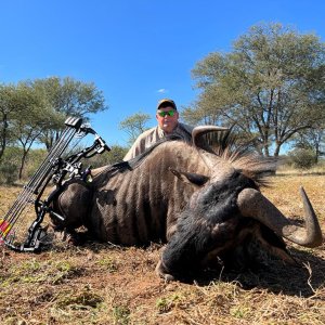 Blue Wildebeest Bow Hunt South Africa