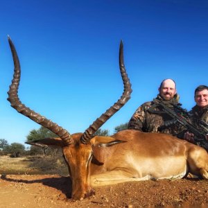 Impala Hunt Limpopo South Africa