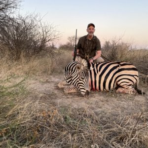 Zebra Mare Hunt South Africa