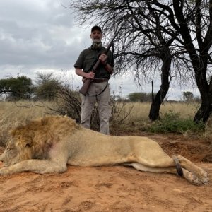 Lion Hunt South Africa