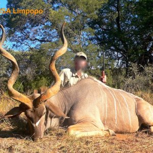 Kudu Hunt Limpopo South Africa